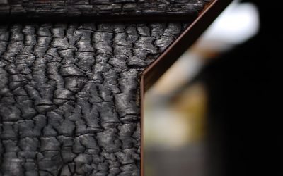 Kuo deginta mediena pranašesnė už natūralią